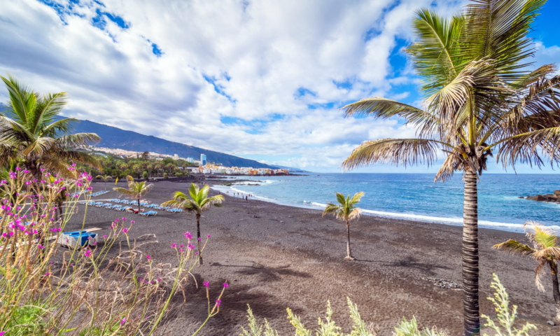 Playa Jardin